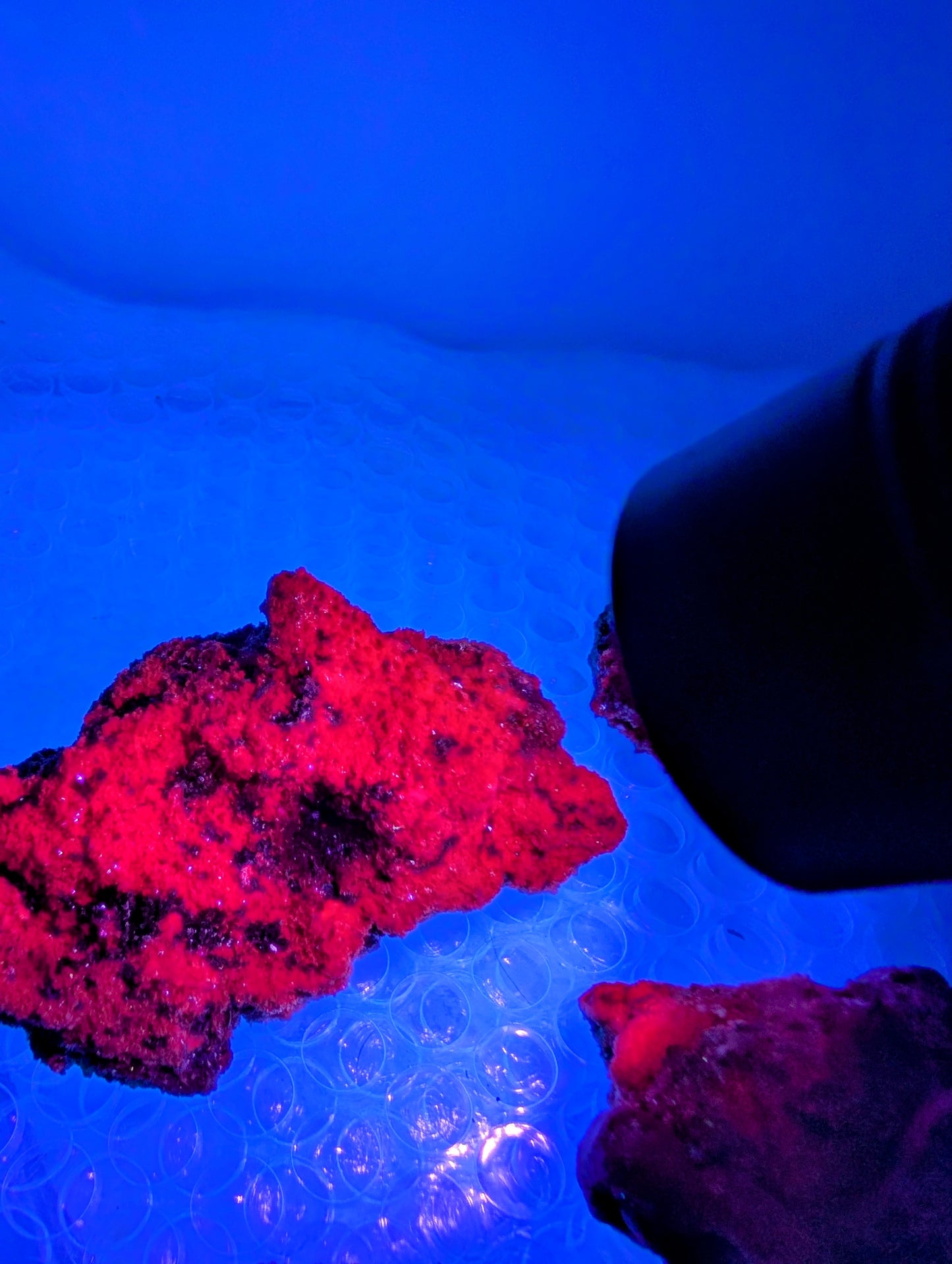 Raw Ruby Specimens - Bright UV Reactions!!
