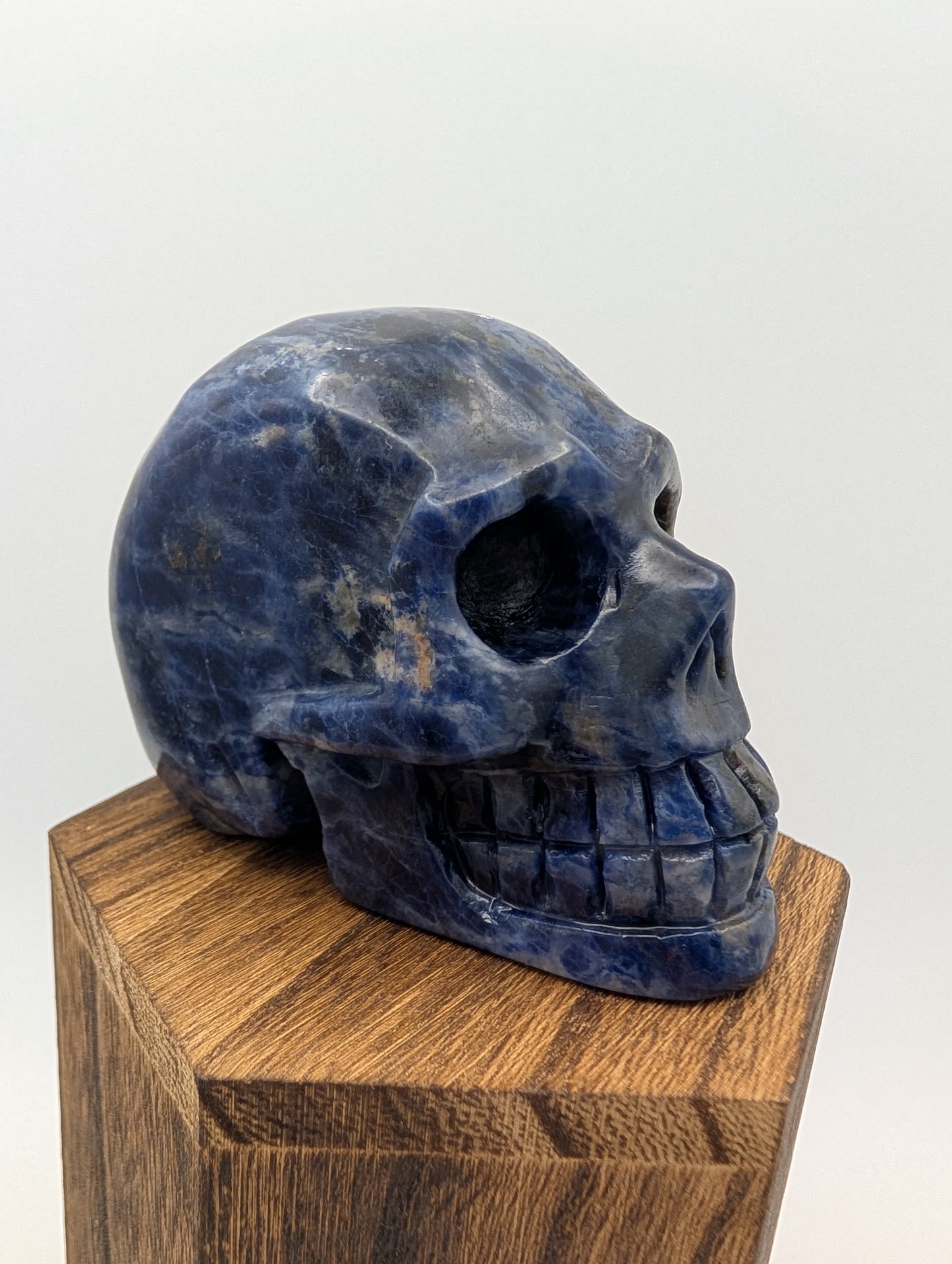 Blue Sodalite Crystal Skull Carvings