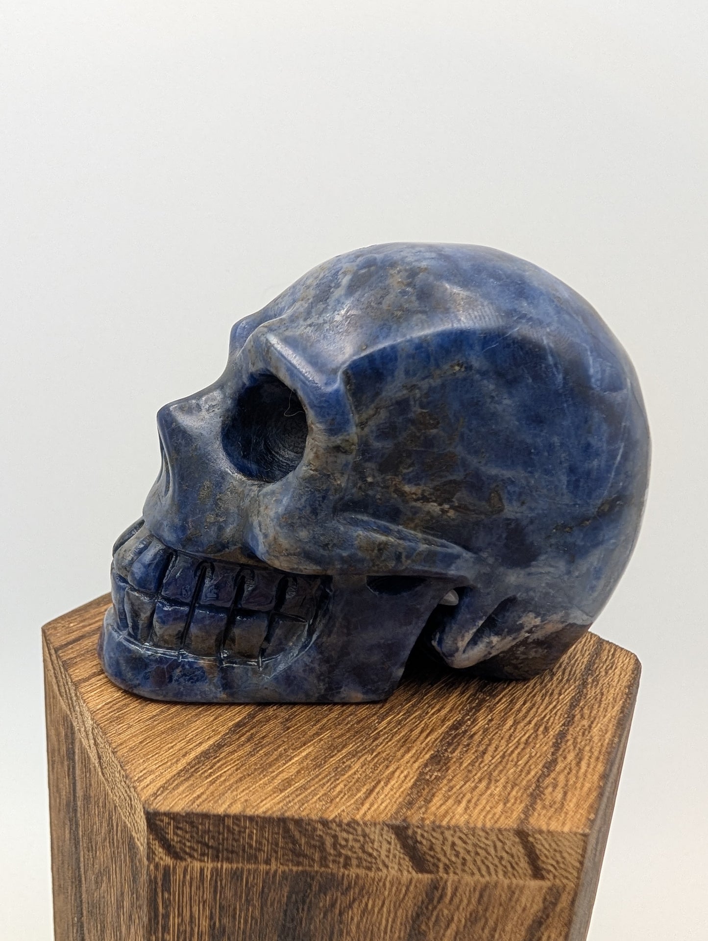 Blue Sodalite Crystal Skull Carvings