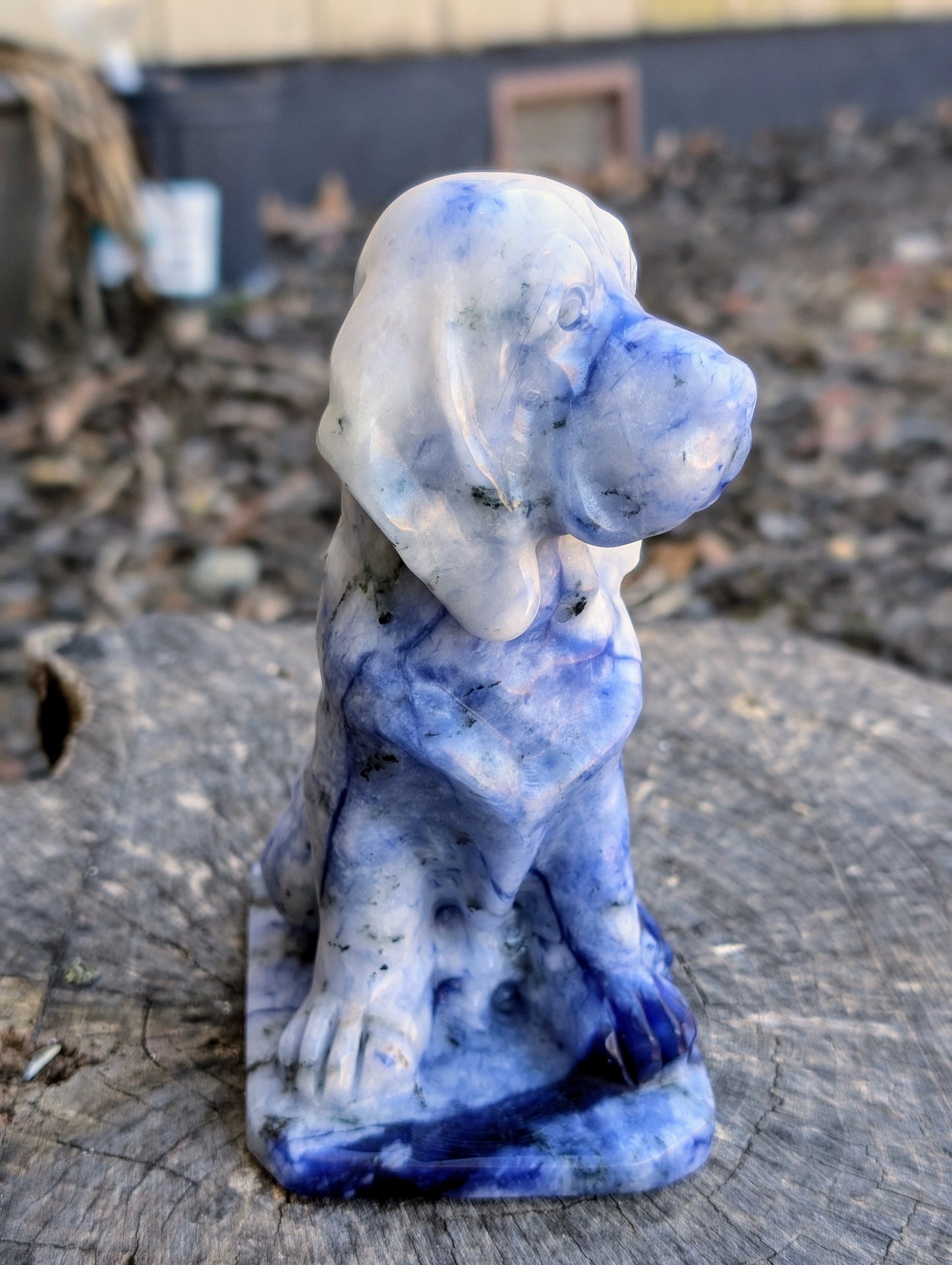 Beautifully Carved Sodalite Dog Statue - UV Reactive!