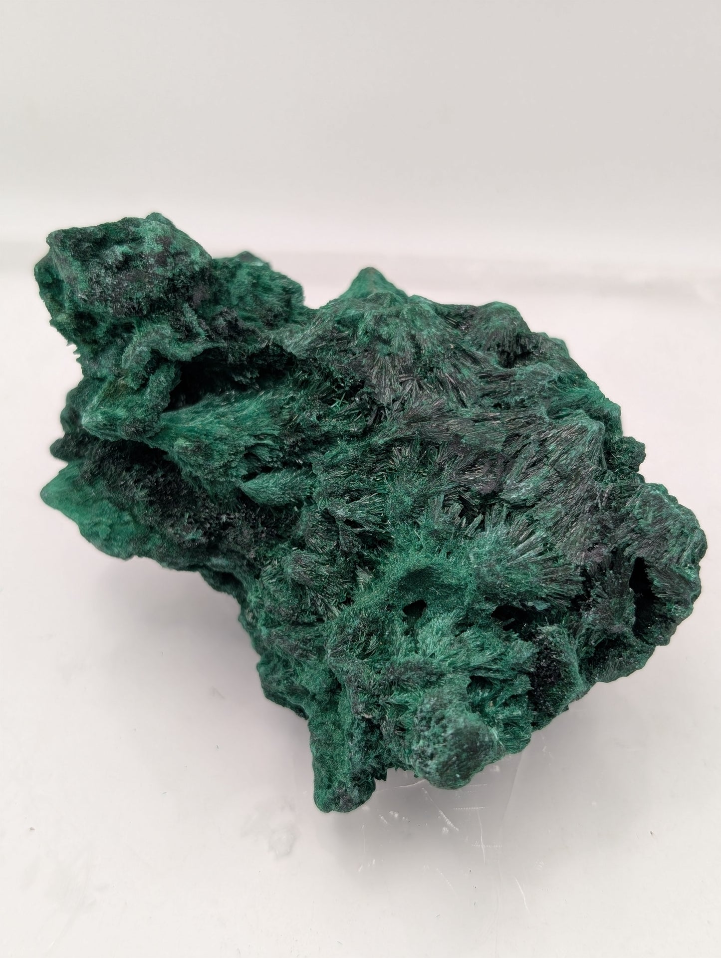 Velvet Malachite