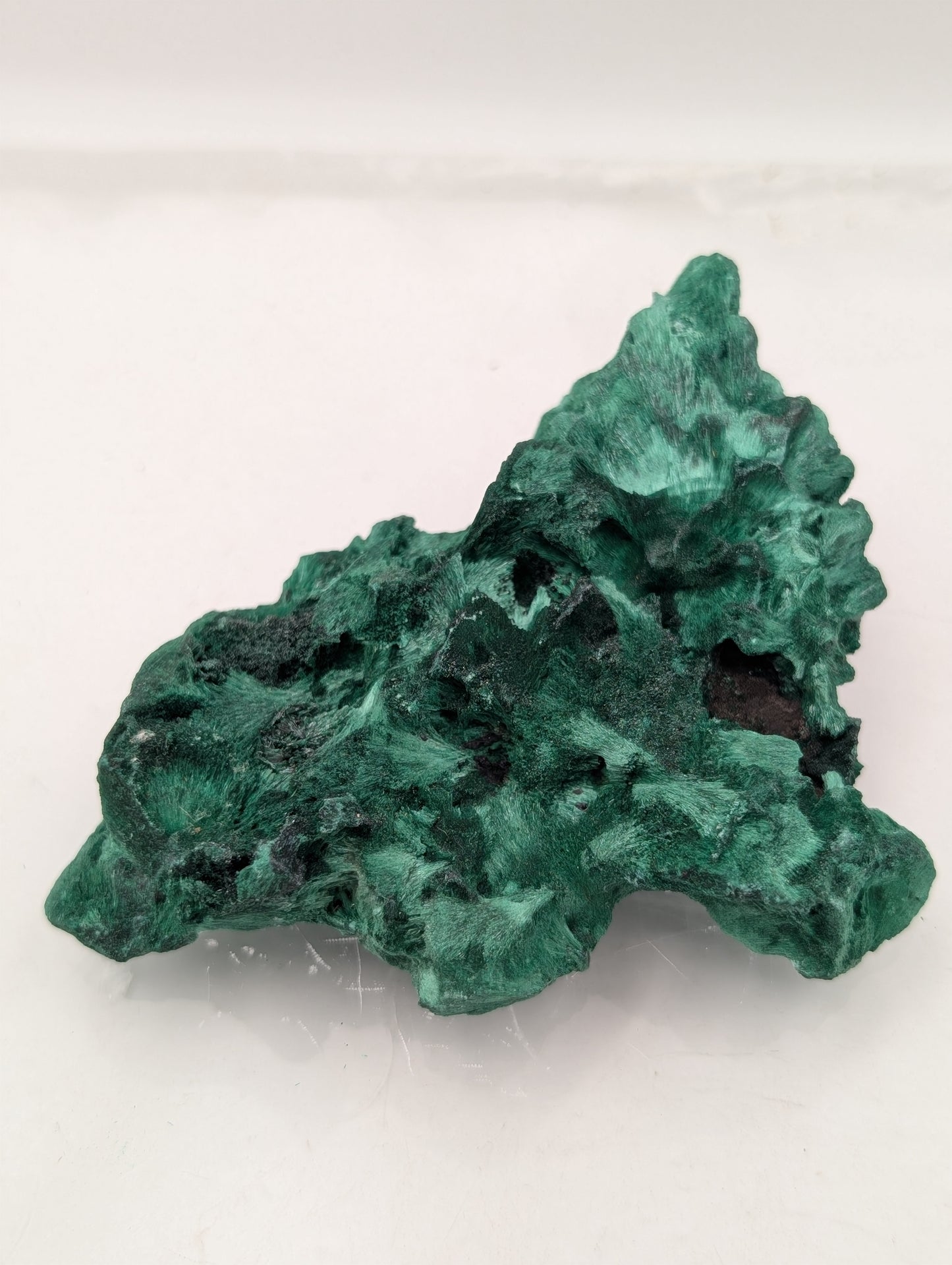 Velvet Malachite