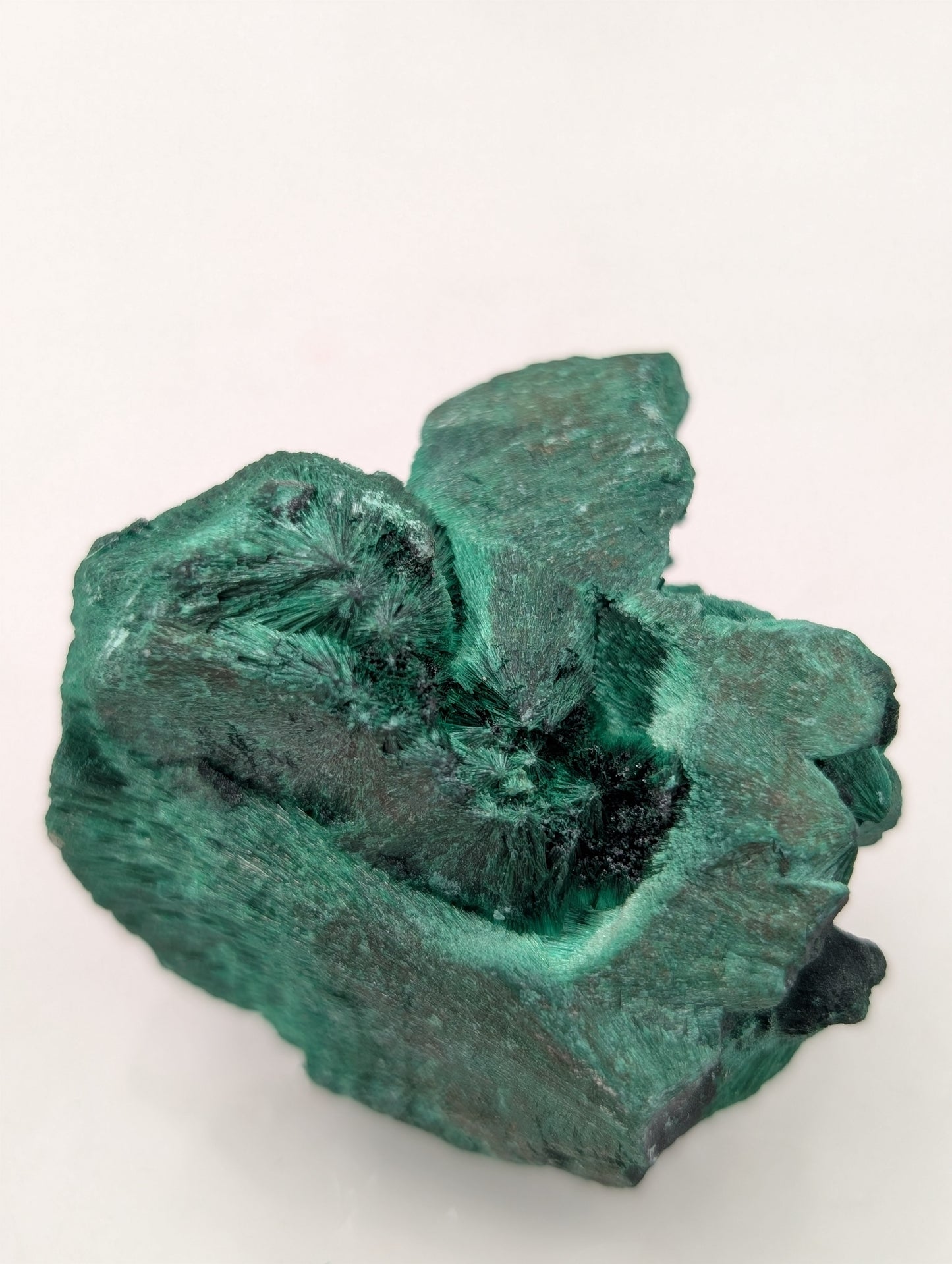 Velvet Malachite