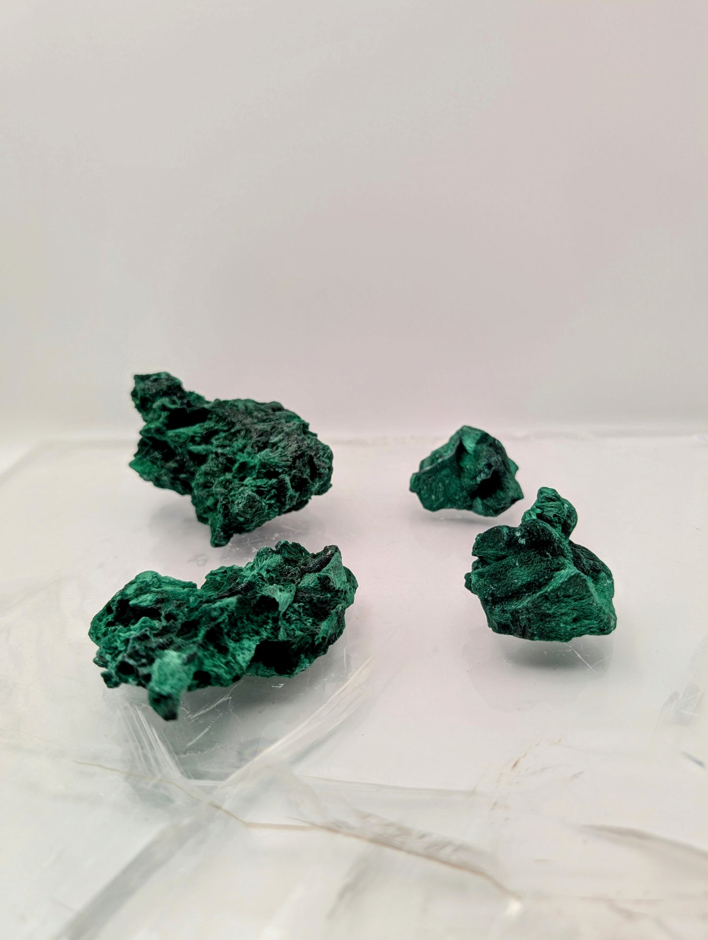 Velvet Malachite
