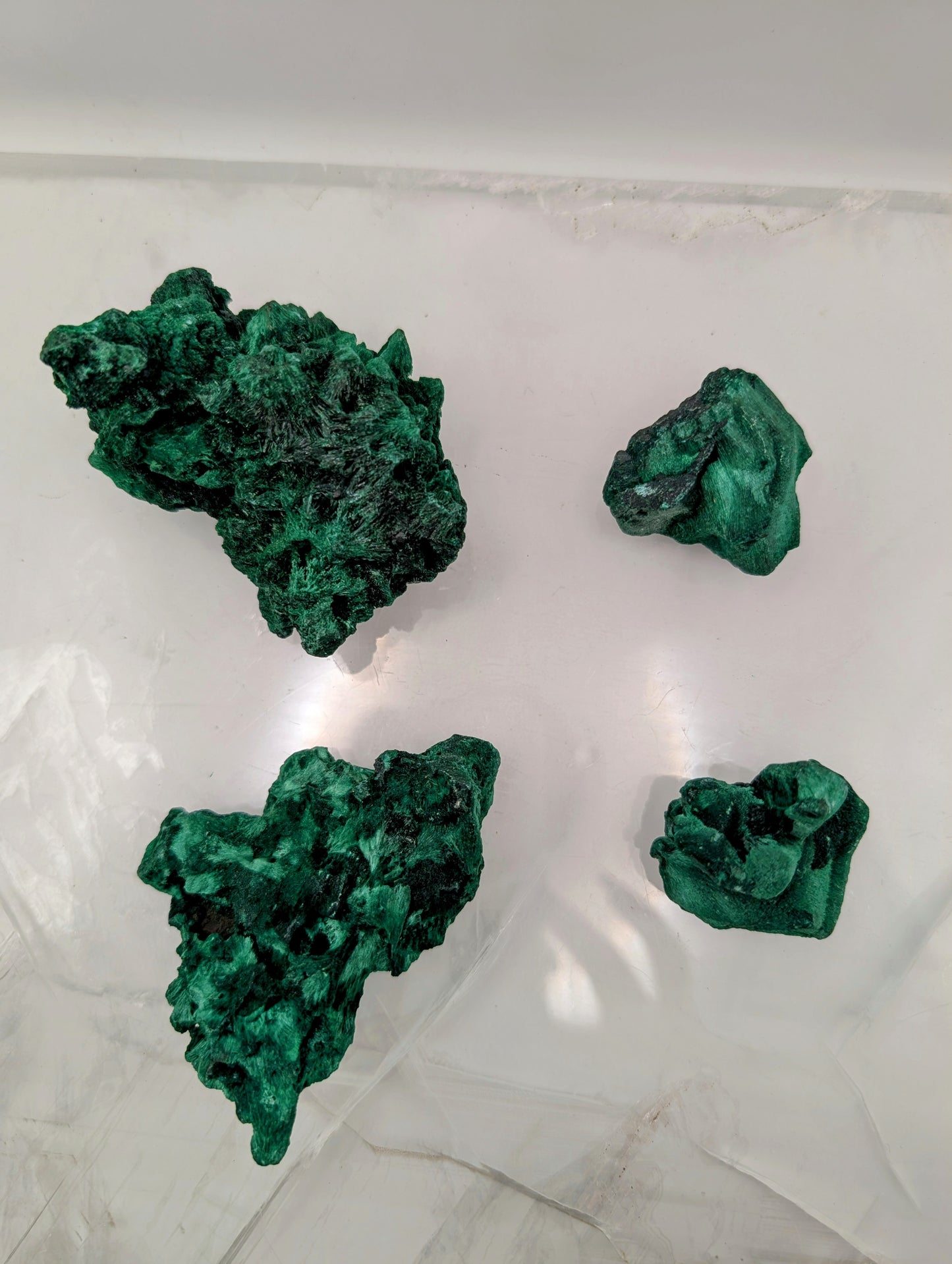 Velvet Malachite