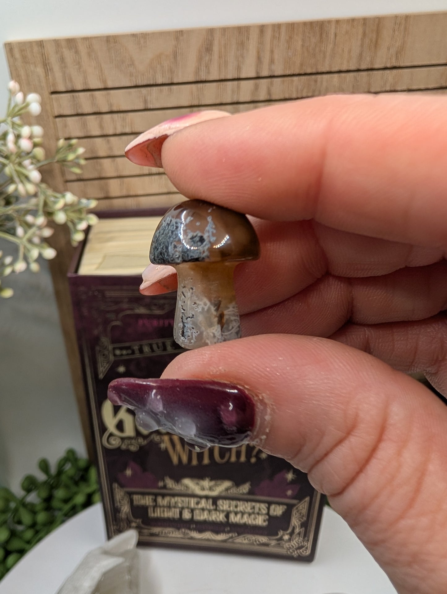 Bear Hug Crystal Bundle