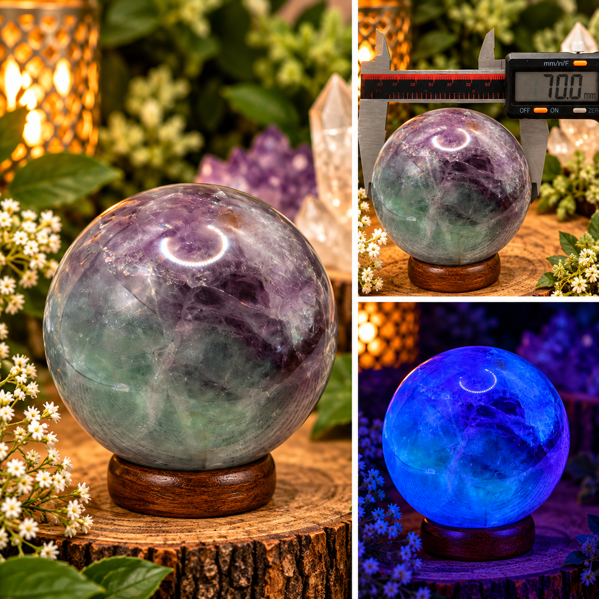 70mm green and purple Fluorite sphere displayed in boutique setting with vivid blue UV fluorescence