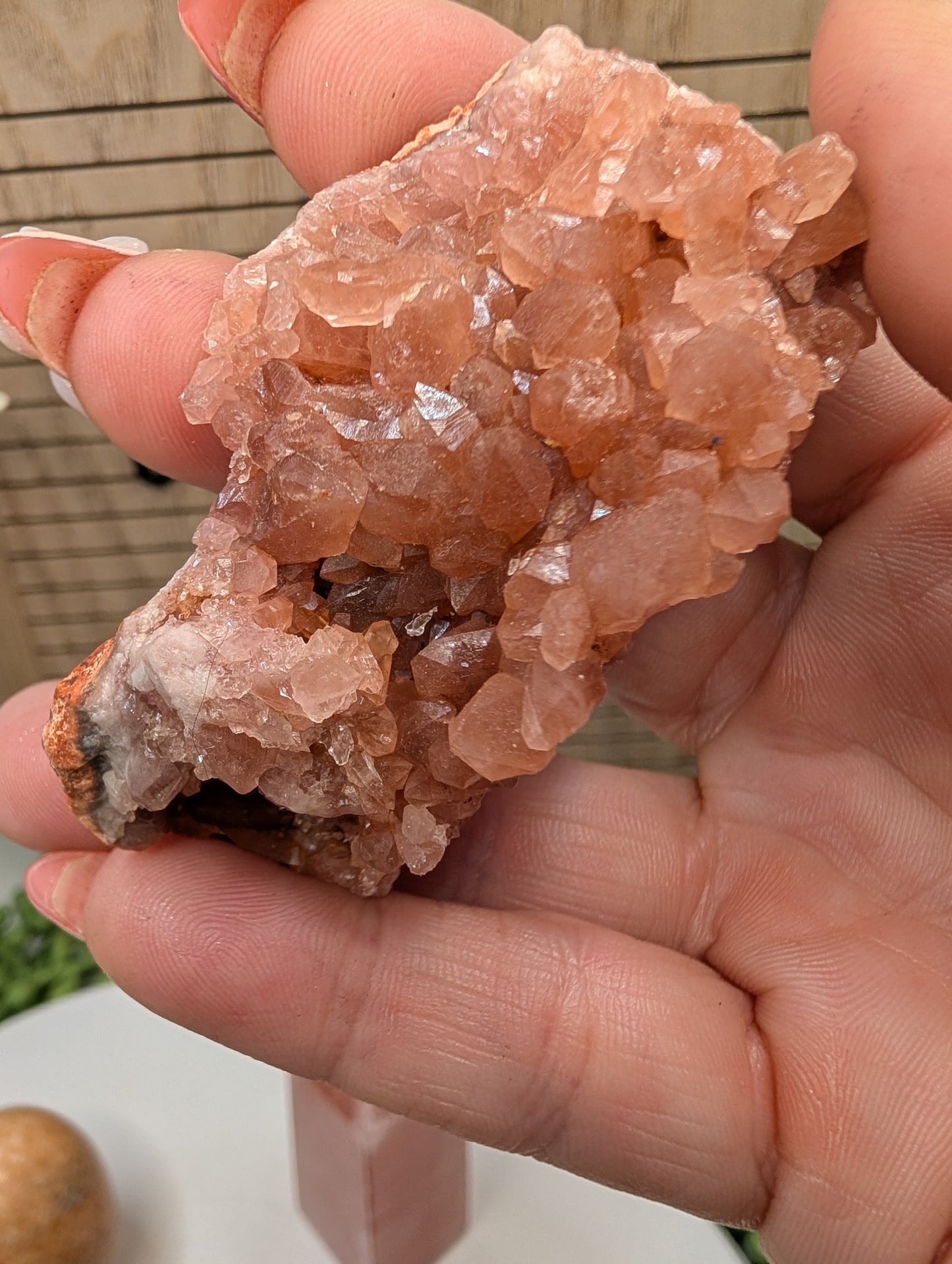 Puppy Love Crystal Bundle