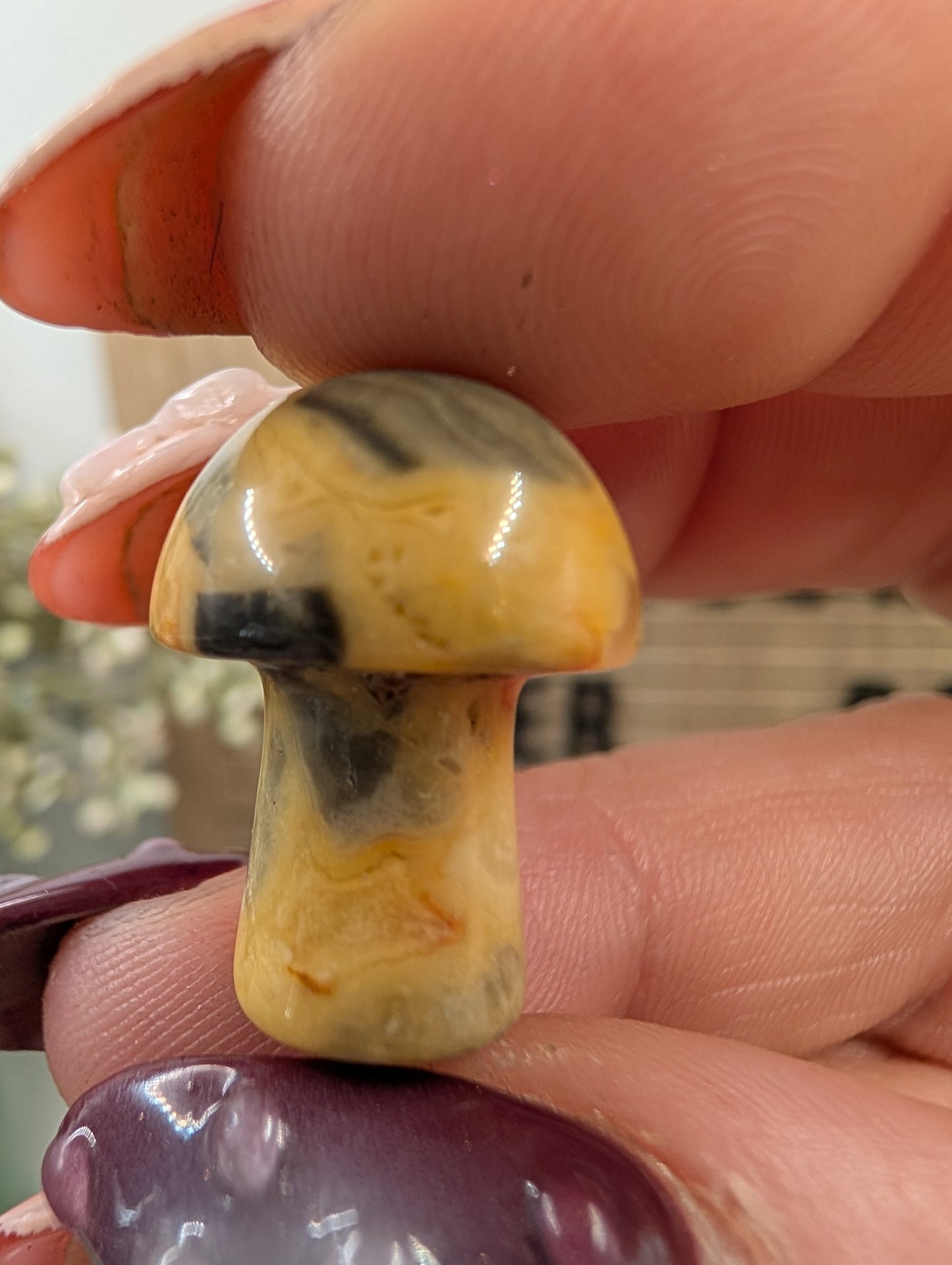Puppy Love Crystal Bundle