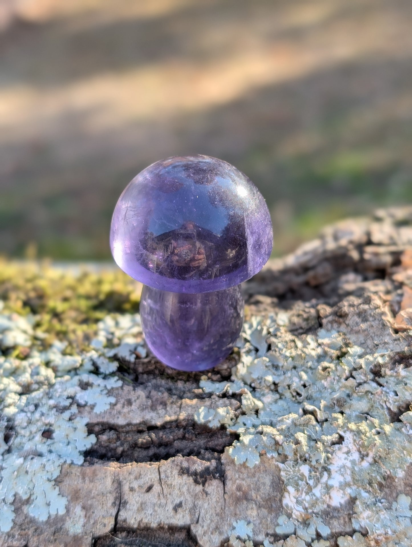 Dark Purple Fluorite Mushroom