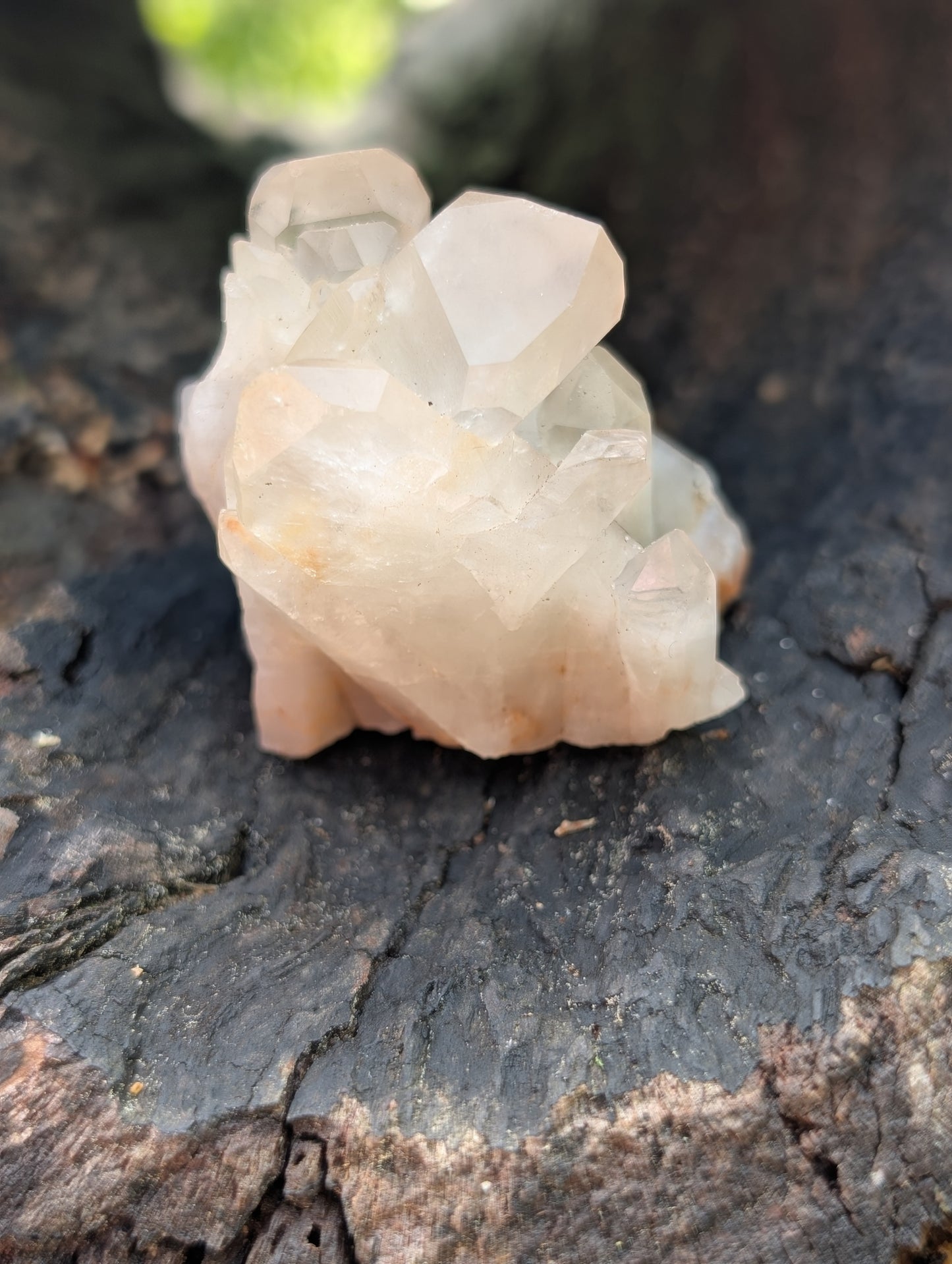 Natural Clear Quartz Cluster - 6 to 8 Points (they are everywhere!)