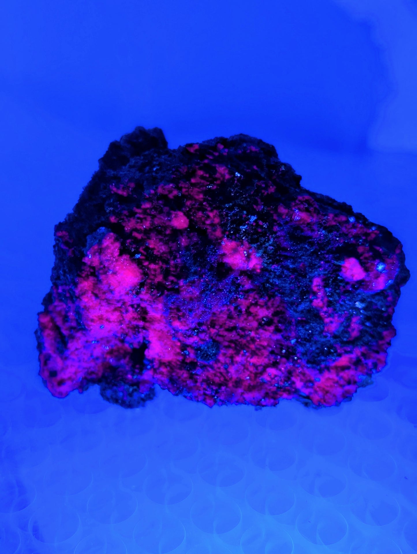 Raw Ruby Specimens - Bright UV Reactions!!