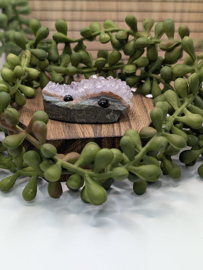 Amethyst Cluster Rock Buddies aka Hedgehogs - Up For Adoption!