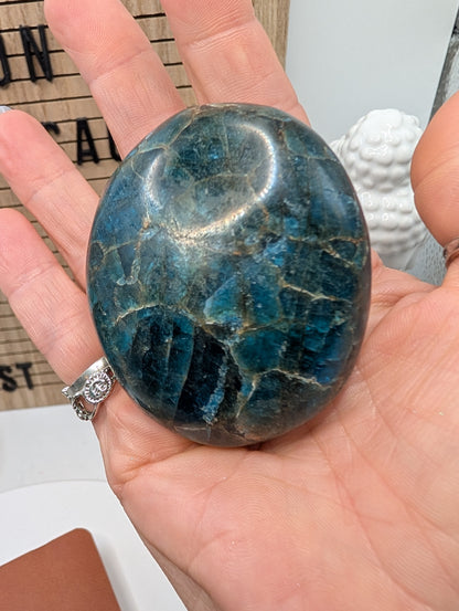 Blue Apatite Palm Stones - Mid Grade Stones at Great Prices!