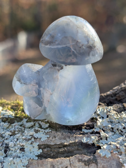 Blue-Green Fluorite Double Mushroom - Crystal Carving