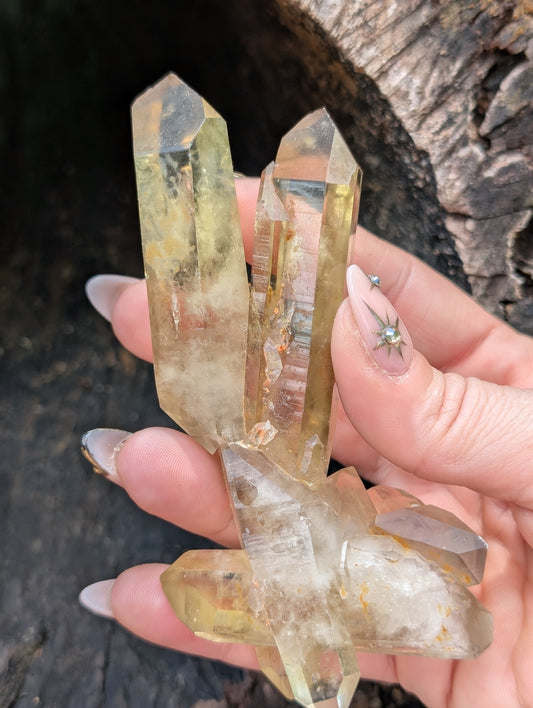Natural Untreated Raw Citrine Cluster - Mid/High Grade