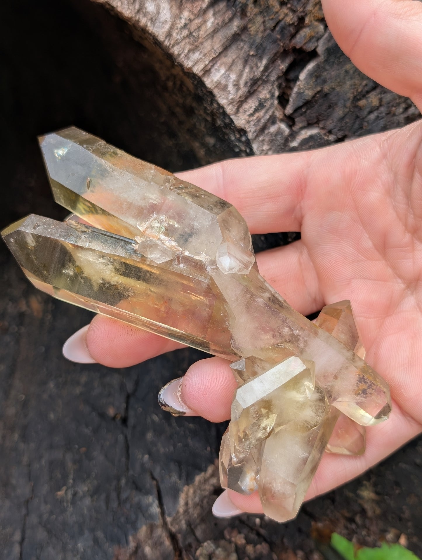 Natural Untreated Raw Citrine Cluster - Mid/High Grade