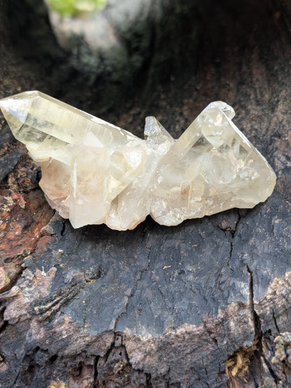Natural Raw Untreated Citrine Cluster - Mid Grade