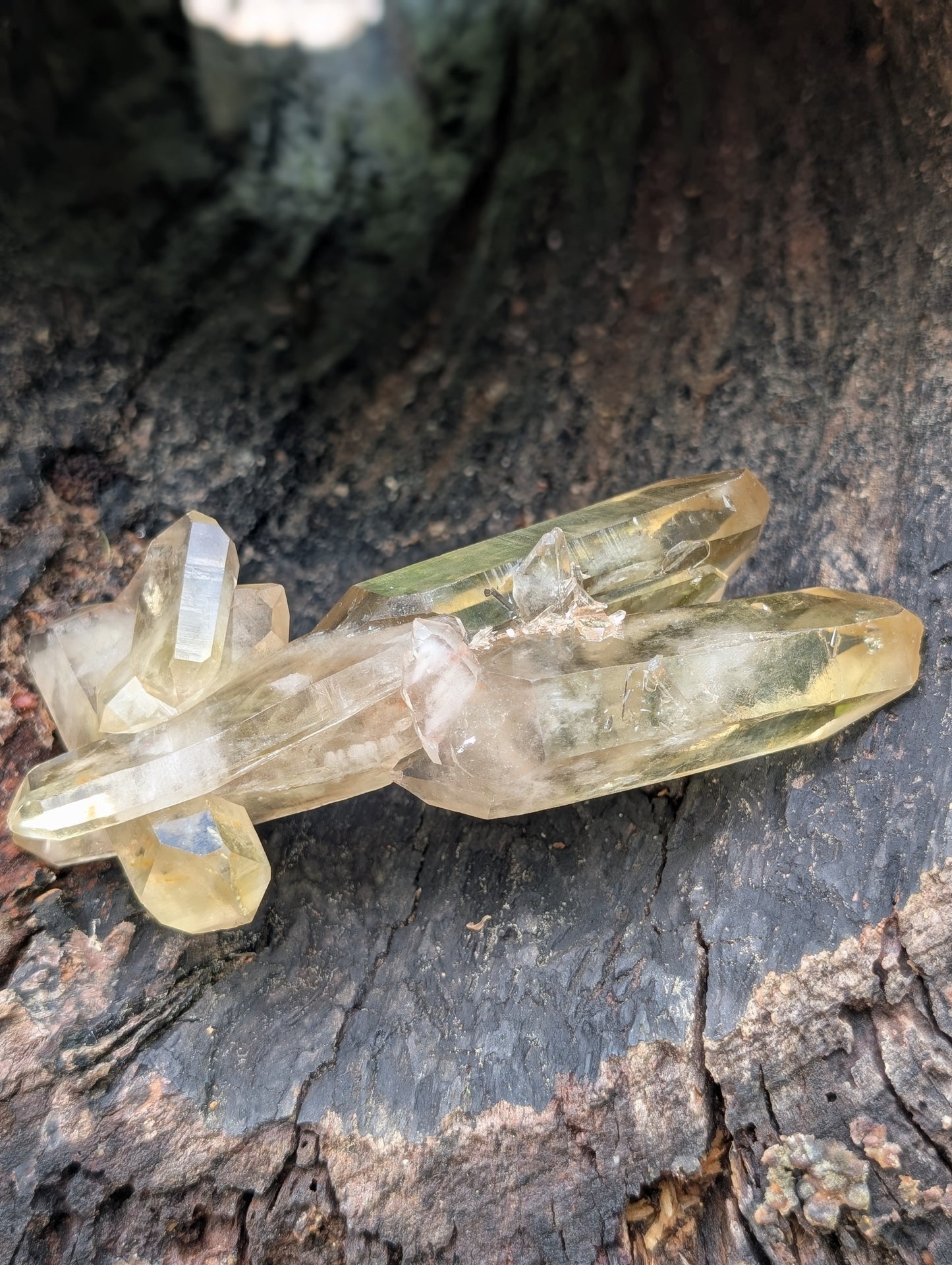 Natural Untreated Raw Citrine Cluster - Mid/High Grade