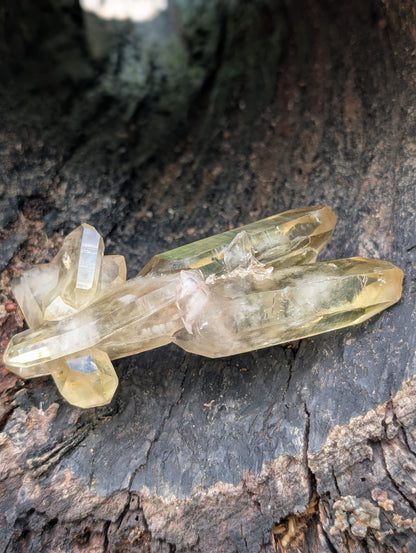 Natural Untreated Raw Citrine Cluster - Mid/High Grade