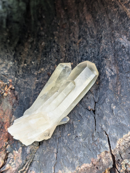 Natural Raw Untreated Citrine Cluster - Mid Grade