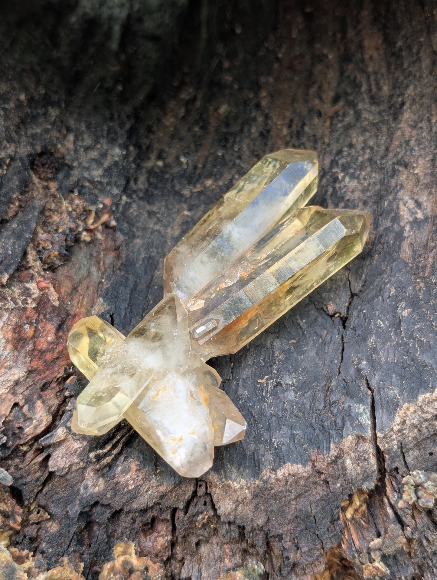 Natural Untreated Raw Citrine Cluster - Mid/High Grade