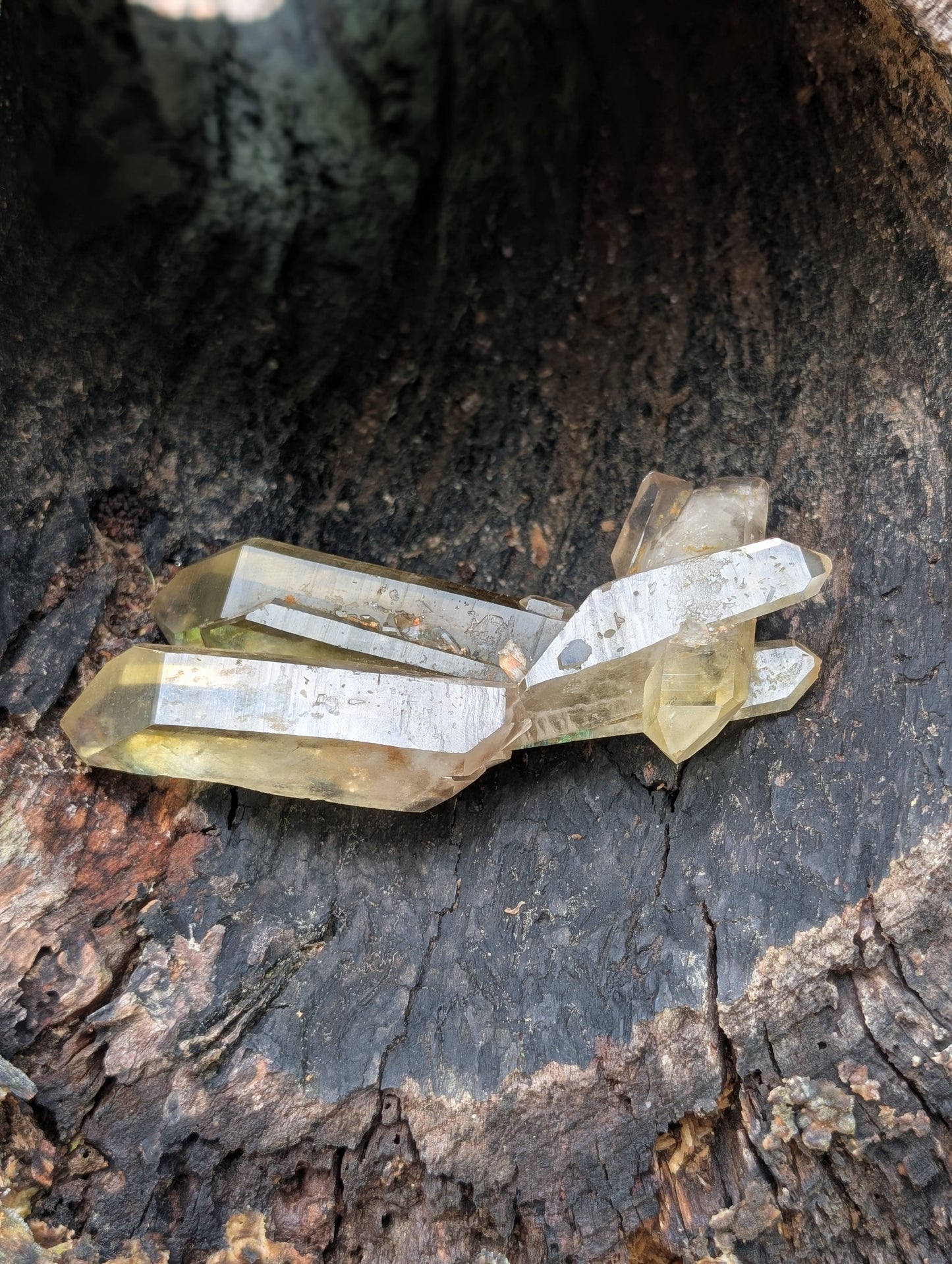 Natural Untreated Raw Citrine Cluster - Mid/High Grade