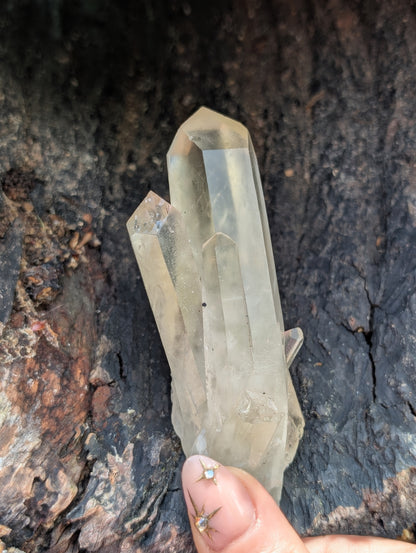 Natural Raw Untreated Citrine Cluster - Mid Grade