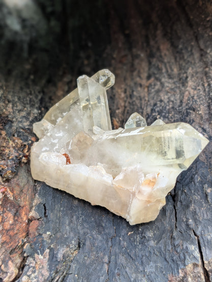 Natural Raw Untreated Citrine Cluster - Mid Grade