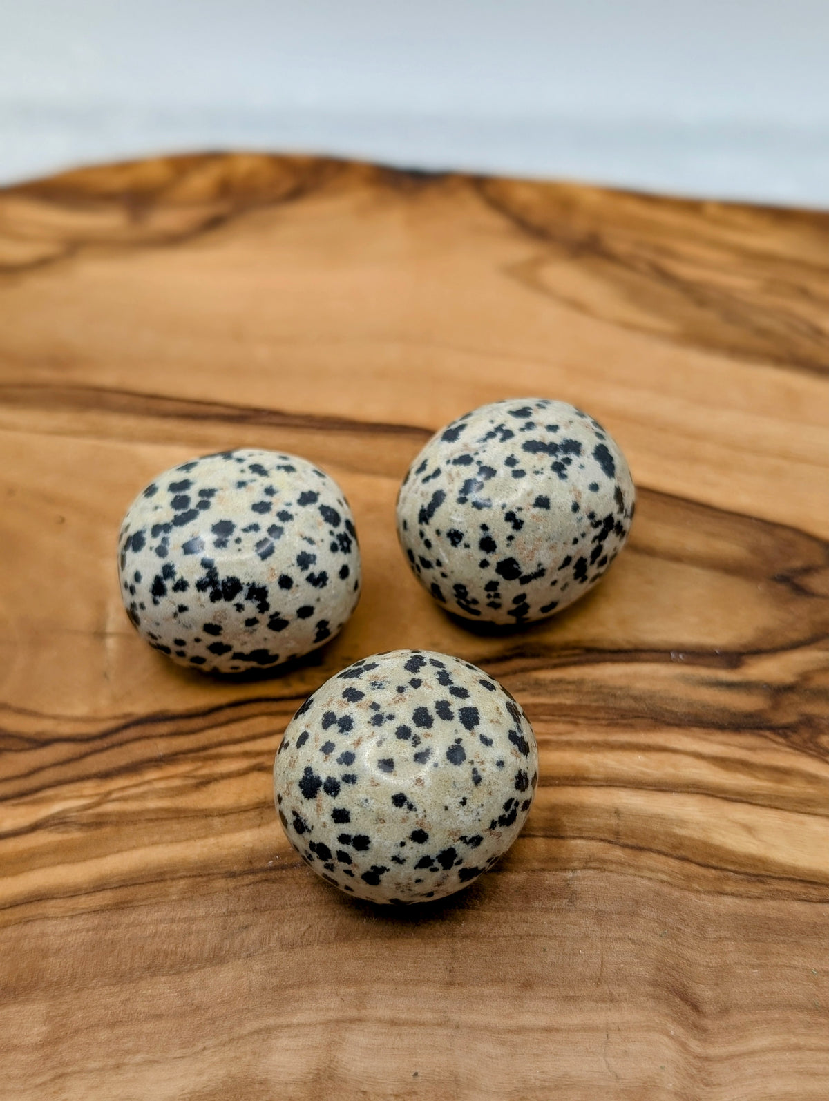 Large polished Dalmatian Jasper tumble stones with cream coloring and natural black spots