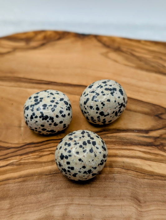 Large polished Dalmatian Jasper tumble stones with cream coloring and natural black spots