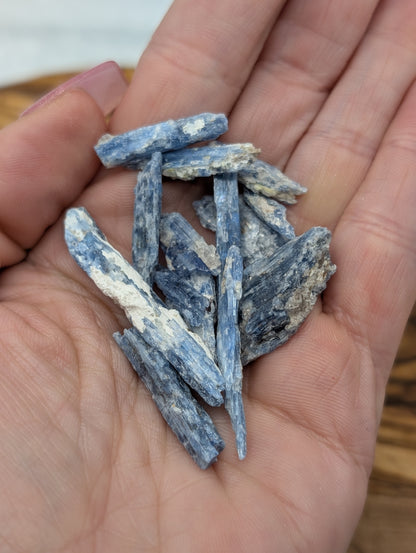 Raw Blue Kyanite crystal shards with natural blue blades and white mineral matrix