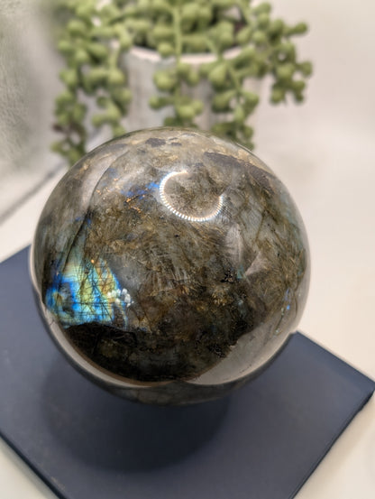 HUGE Blue & Gold Flashy Labradorite Sphere