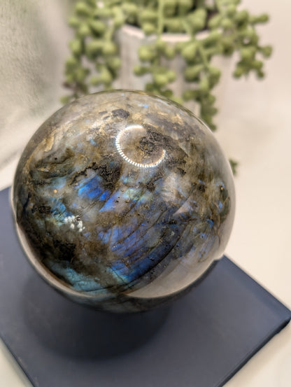 HUGE Blue & Gold Flashy Labradorite Sphere