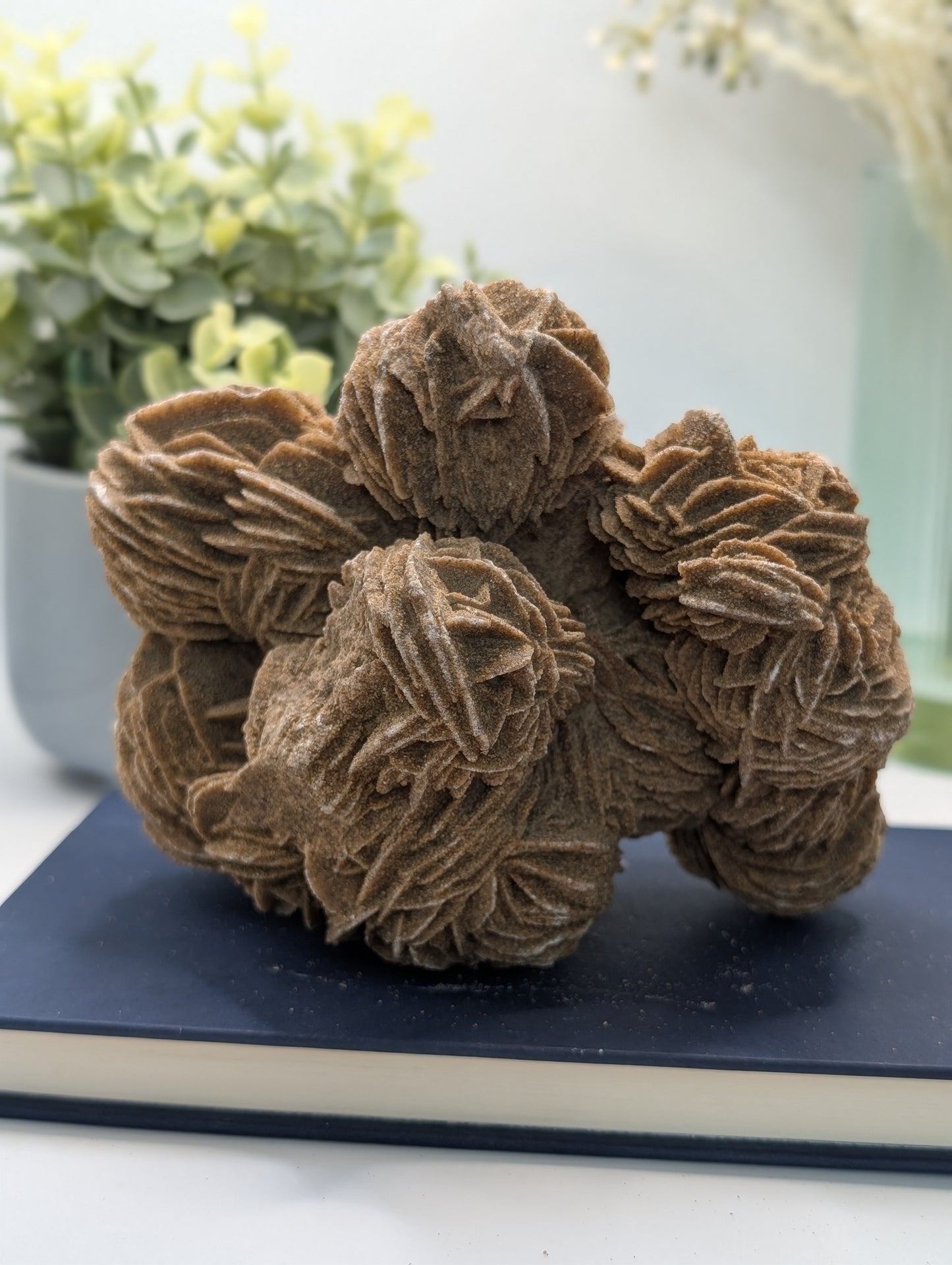 Desert Rose #2 - HQ Statement Piece!