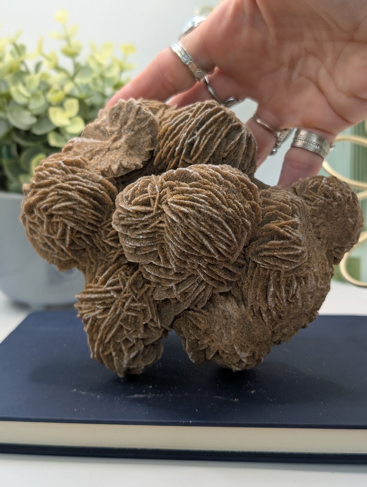 Desert Rose #2 - HQ Statement Piece!