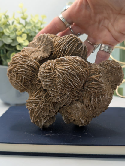Desert Rose #2 - HQ Statement Piece!