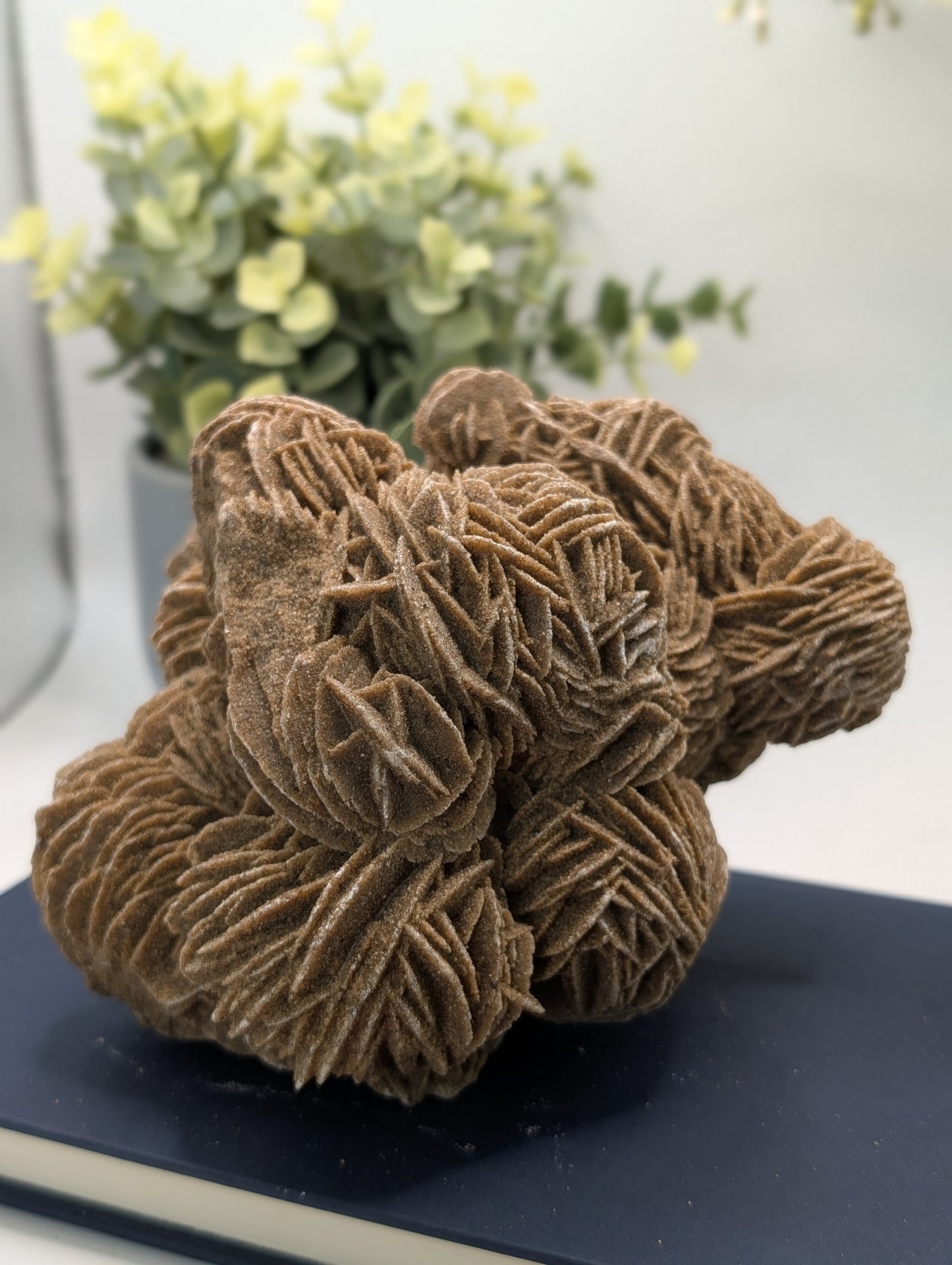 Desert Rose #2 - HQ Statement Piece!