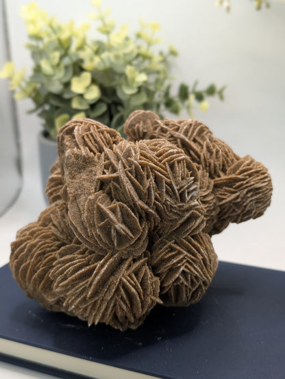 Desert Rose #2 - HQ Statement Piece!