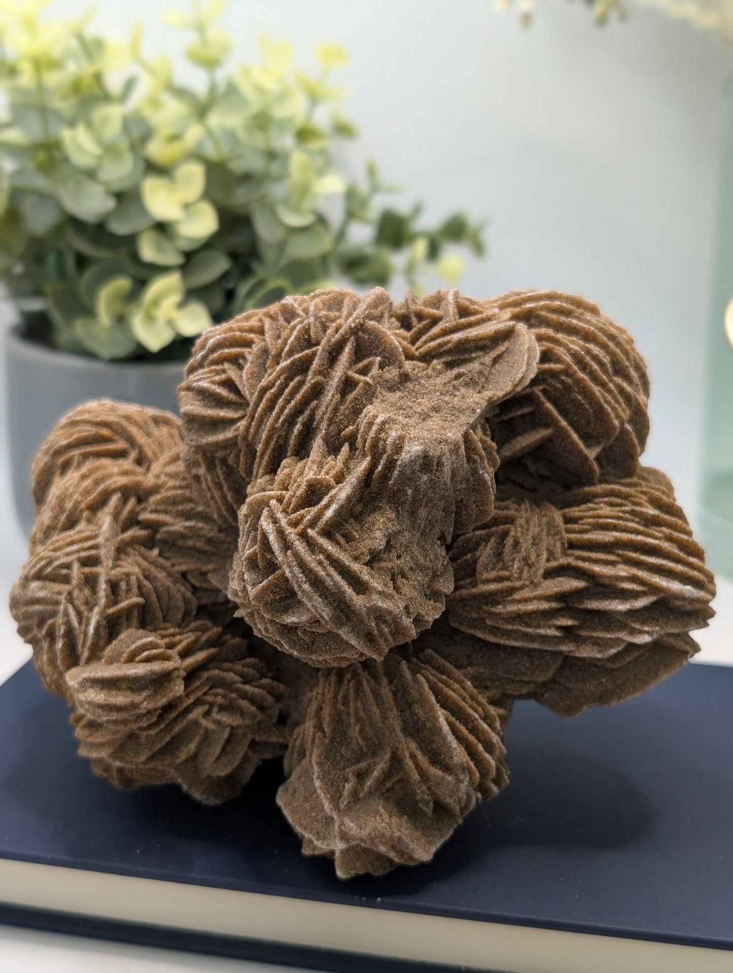Desert Rose #2 - HQ Statement Piece!