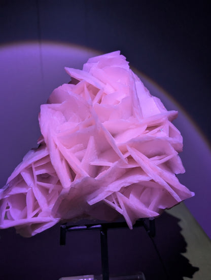 Rose Calcite - Statement Piece #2 With Stunning UV Reaction!