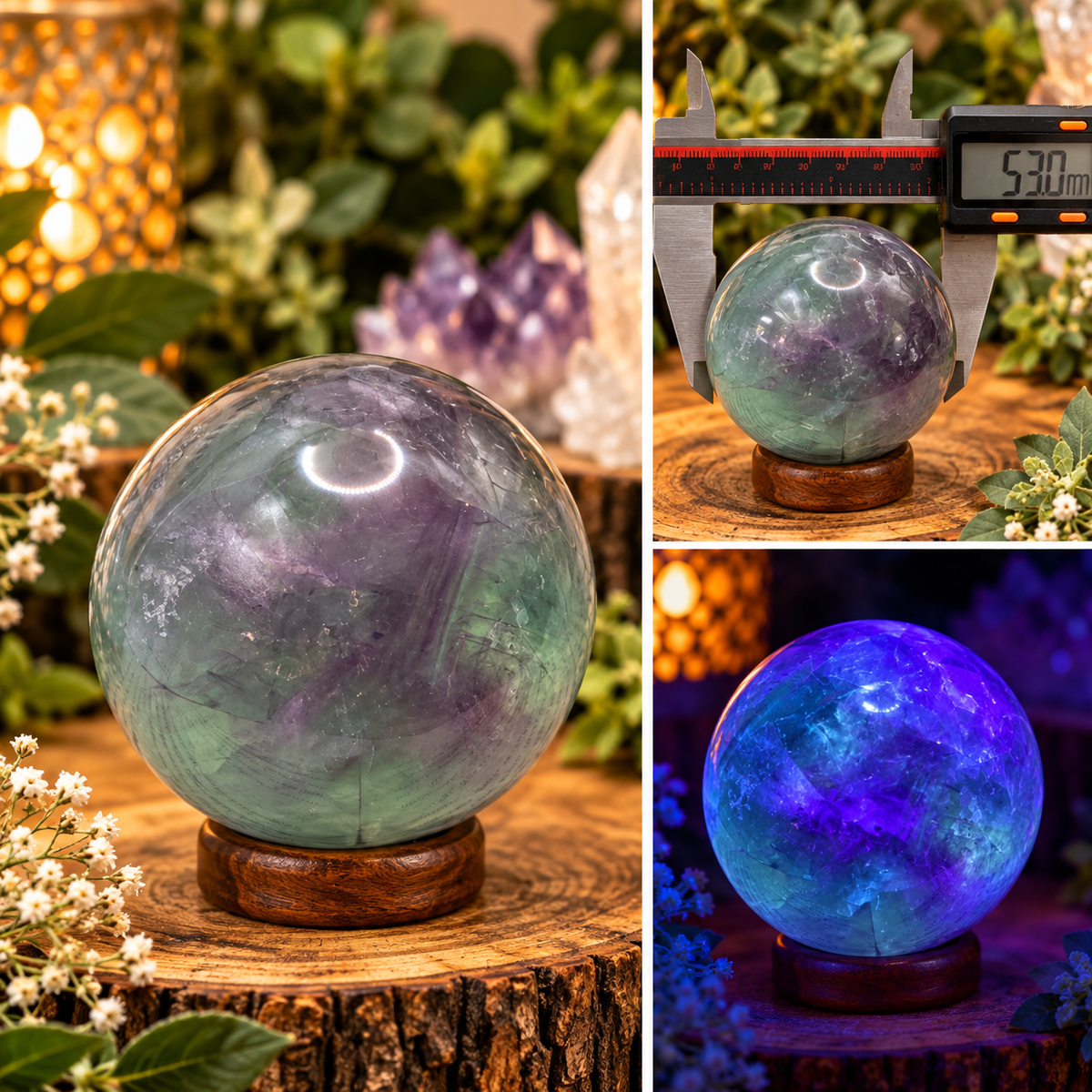 53mm green and purple Fluorite sphere shown in boutique setting with bright blue UV fluorescence