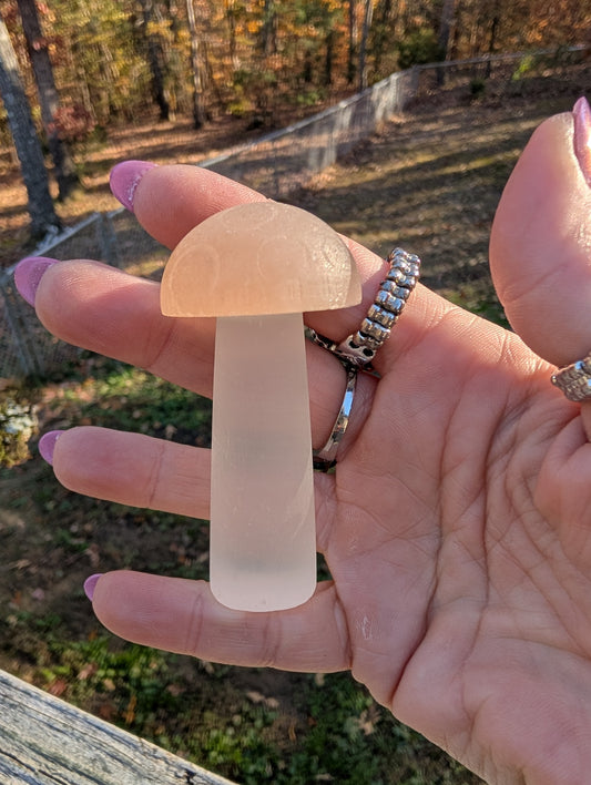 Peach Selenite Mushroom