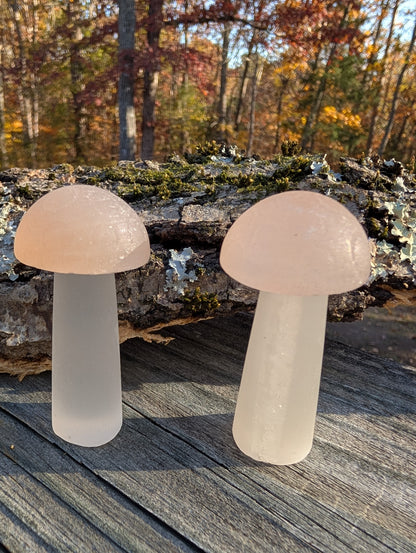 Peach Selenite Mushroom