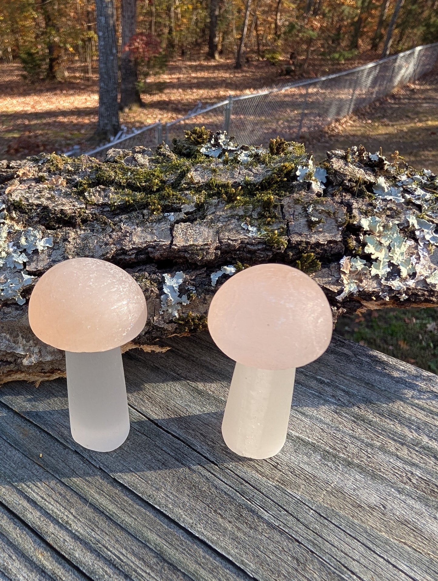 Peach Selenite Mushroom
