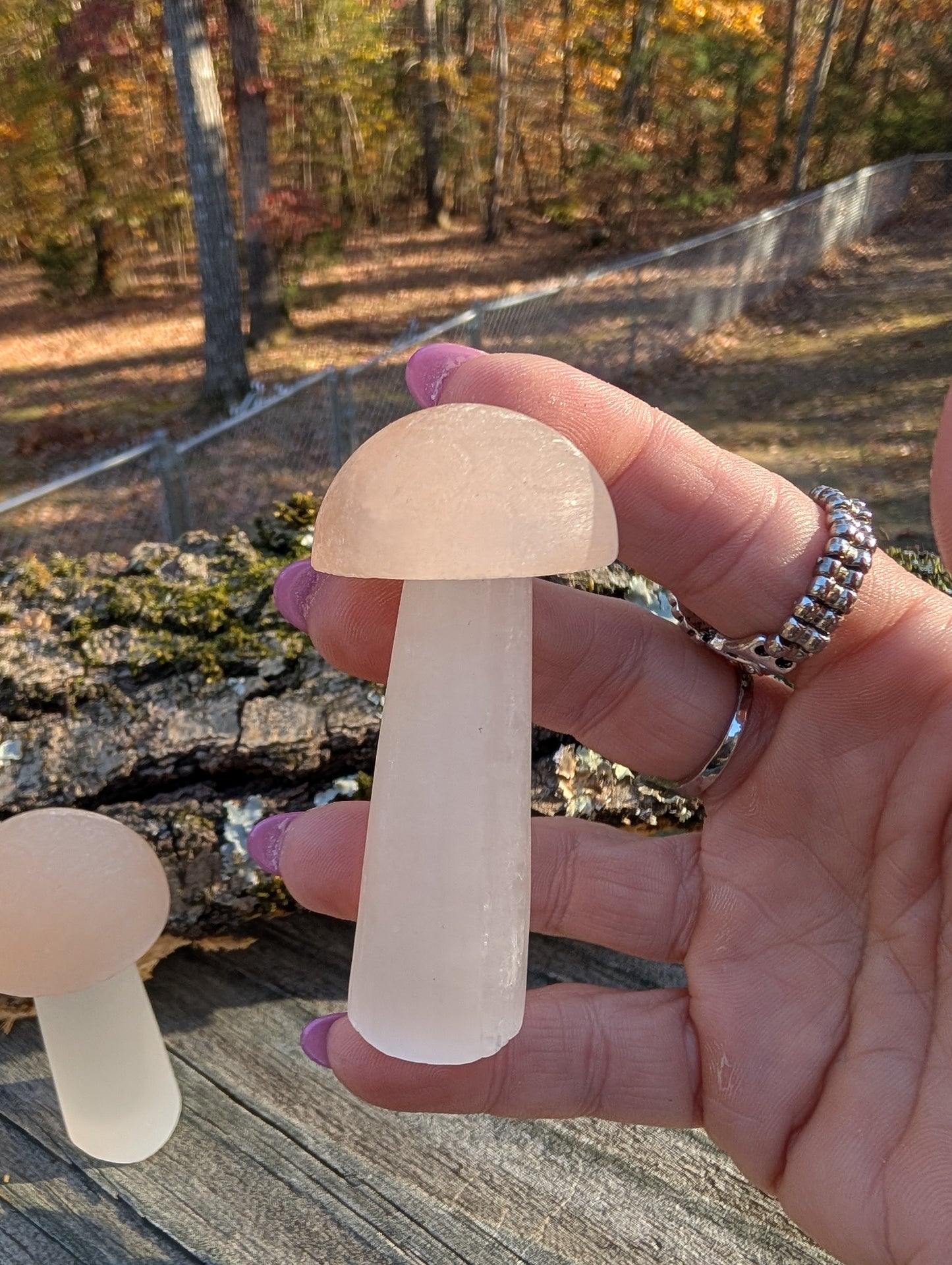Peach Selenite Mushroom