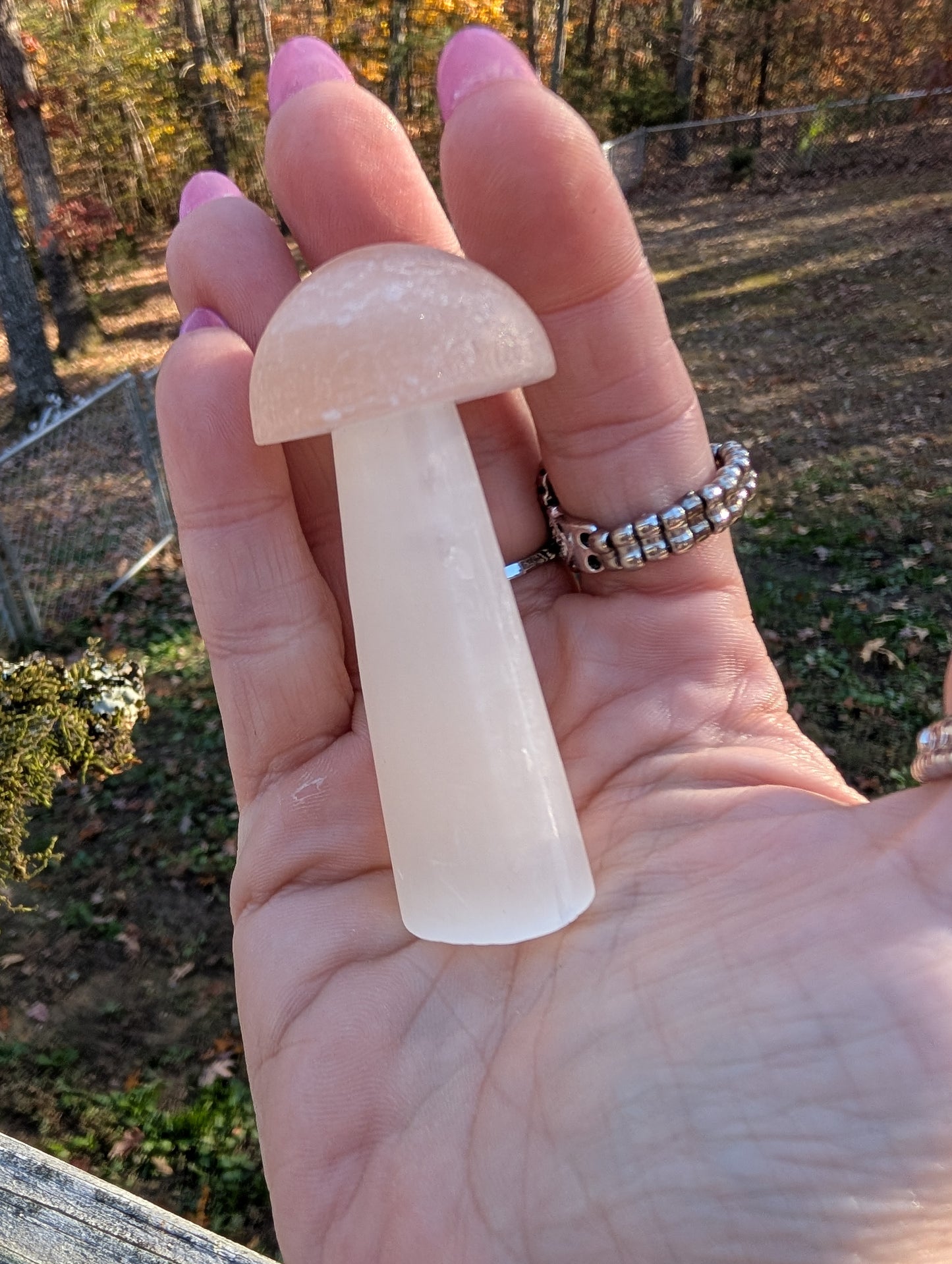 Peach Selenite Mushroom