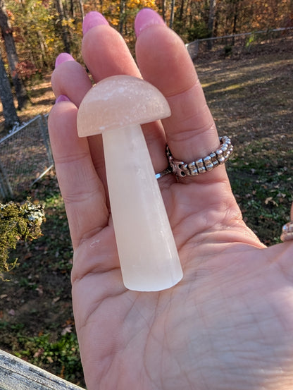 Peach Selenite Mushroom