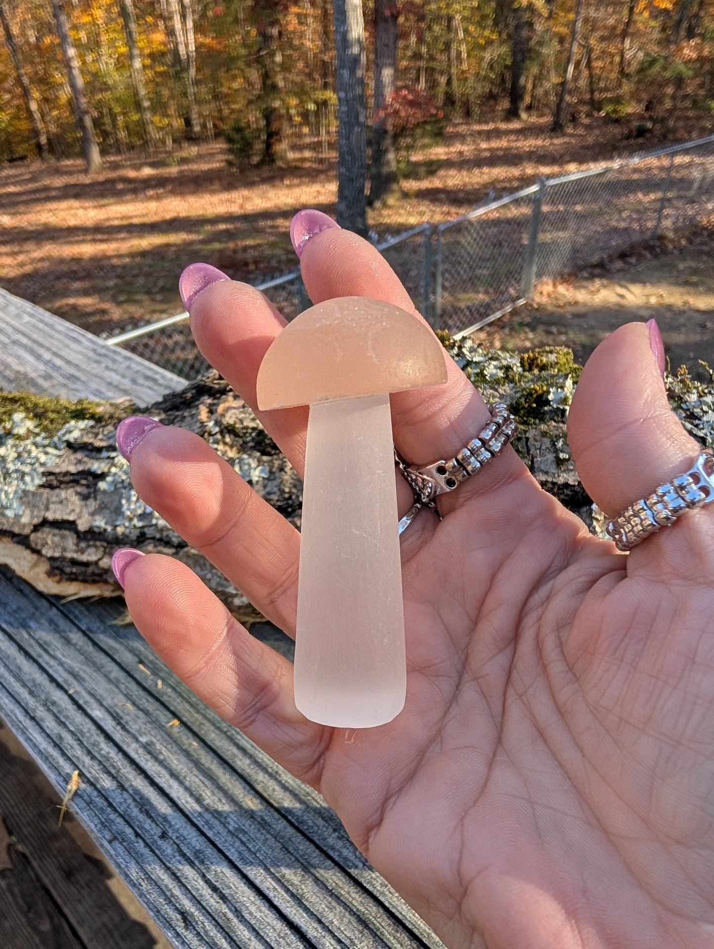 Peach Selenite Mushroom
