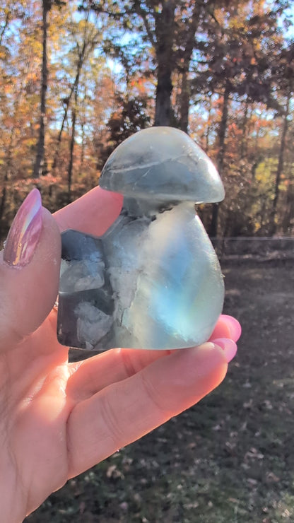 Blue-Green Fluorite Double Mushroom - Crystal Carving